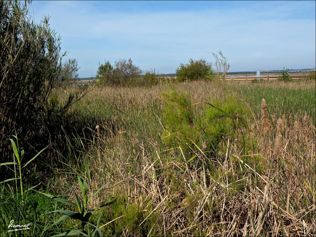 Foto de Punta Umbría (Huelva), España