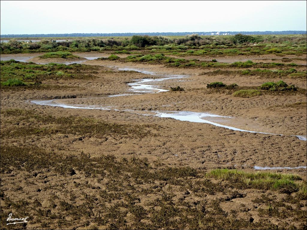 Foto de Punta Umbría (Huelva), España