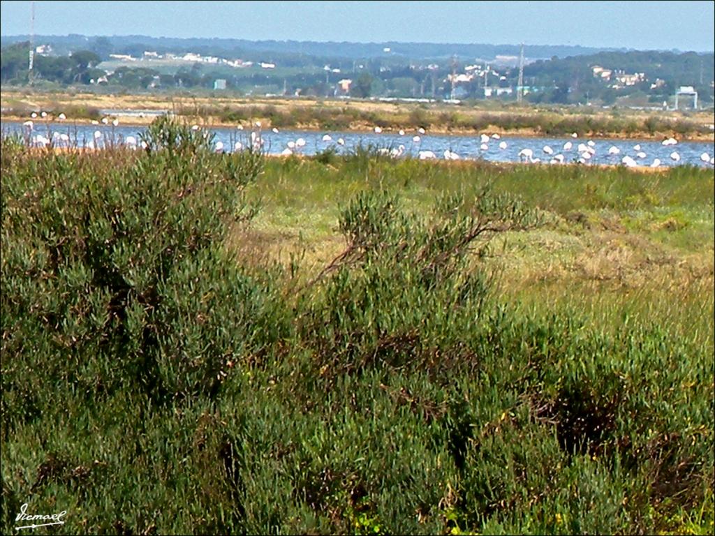 Foto de Punta Umbría (Huelva), España