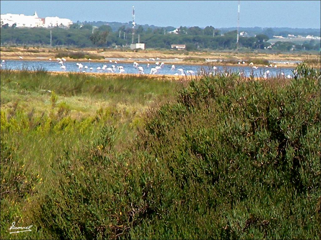 Foto de Punta Umbría (Huelva), España