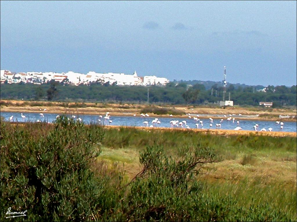 Foto de Punta Umbría (Huelva), España