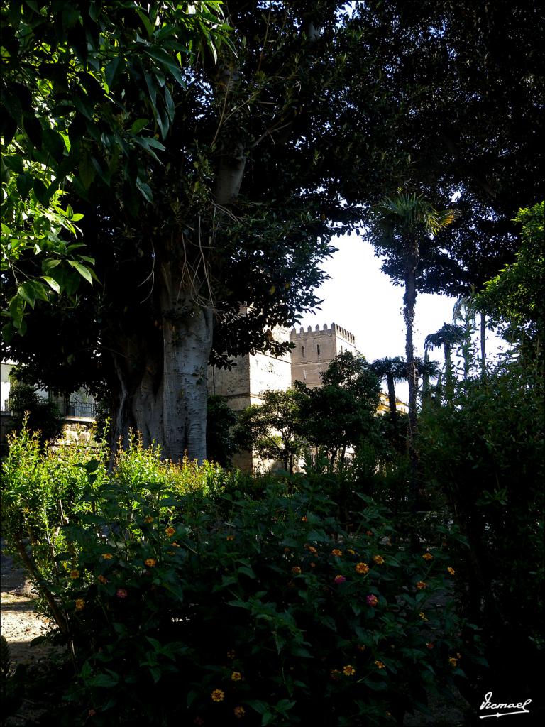 Foto de Sevilla (Andalucía), España