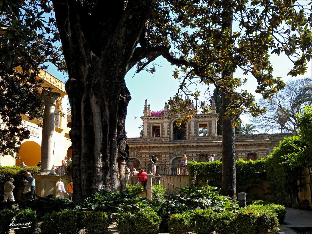 Foto de Sevilla (Andalucía), España