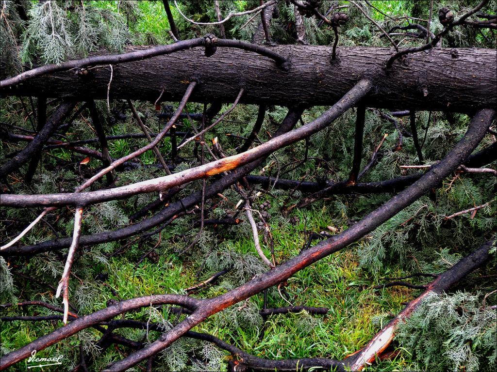 Foto de Zaragoza (Aragón), España