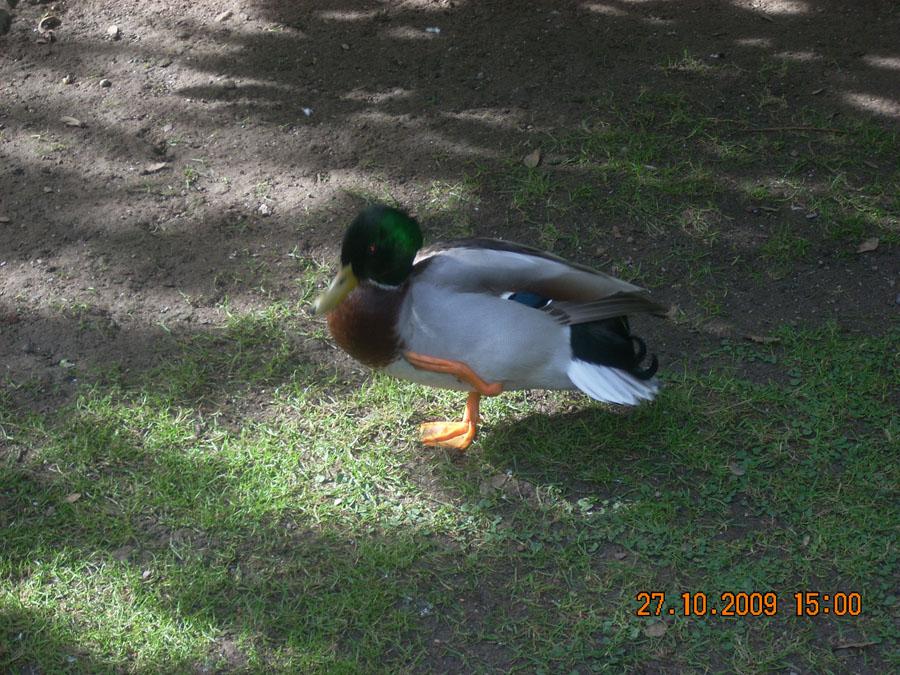 Foto de Oviedo (Asturias), España