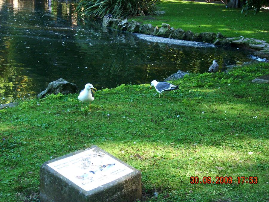 Foto de Gijón (Asturias), España