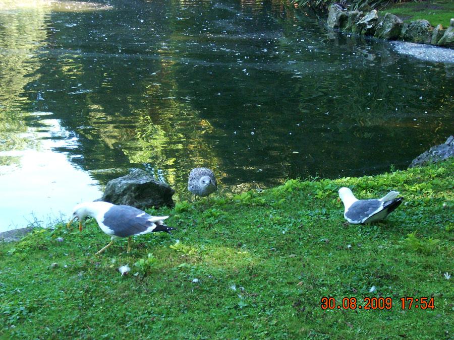 Foto de Gijón (Asturias), España
