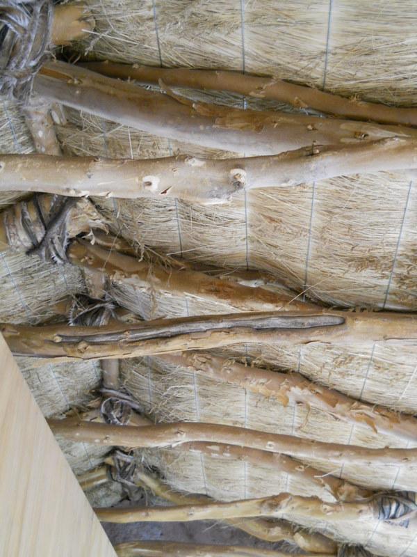 Foto de San Pedro de Atacama, Chile