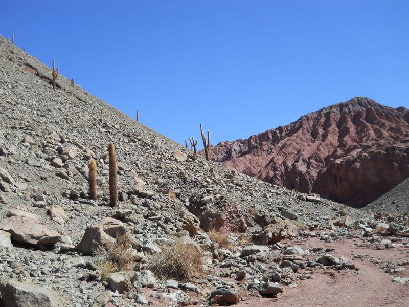 Foto de San Pedro de Atacama, Chile