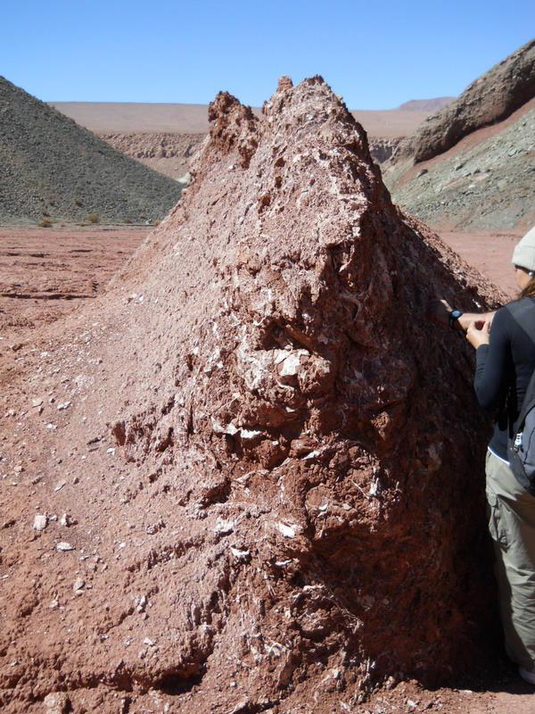 Foto de San Pedro de Atacama, Chile