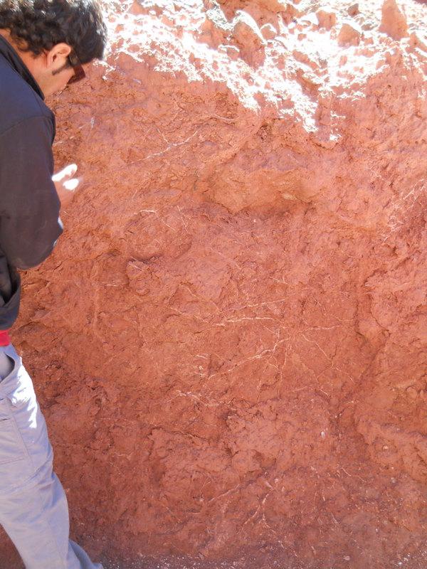 Foto de San Pedro de Atacama, Chile