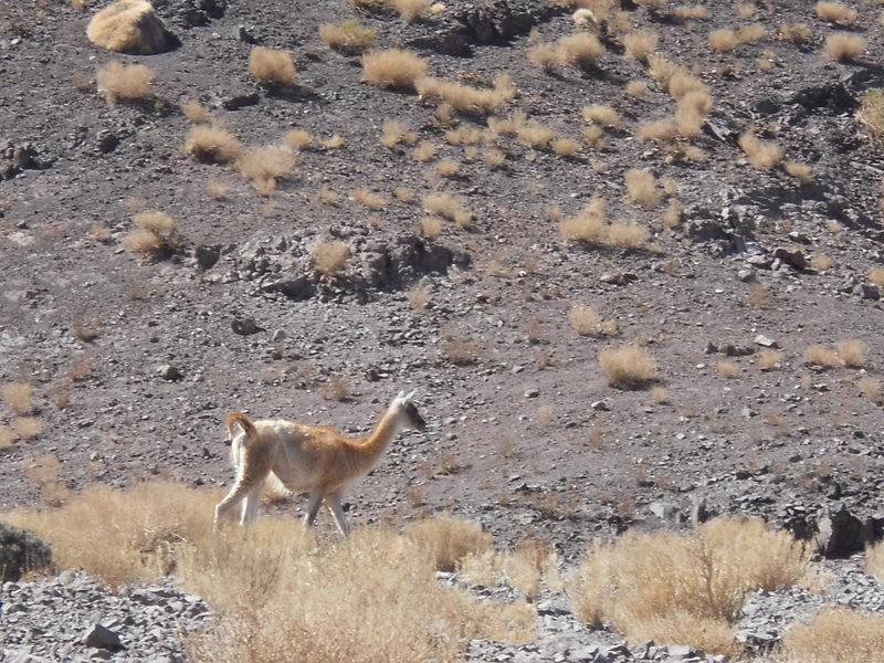 Foto de San Pedro de Atacama, Chile