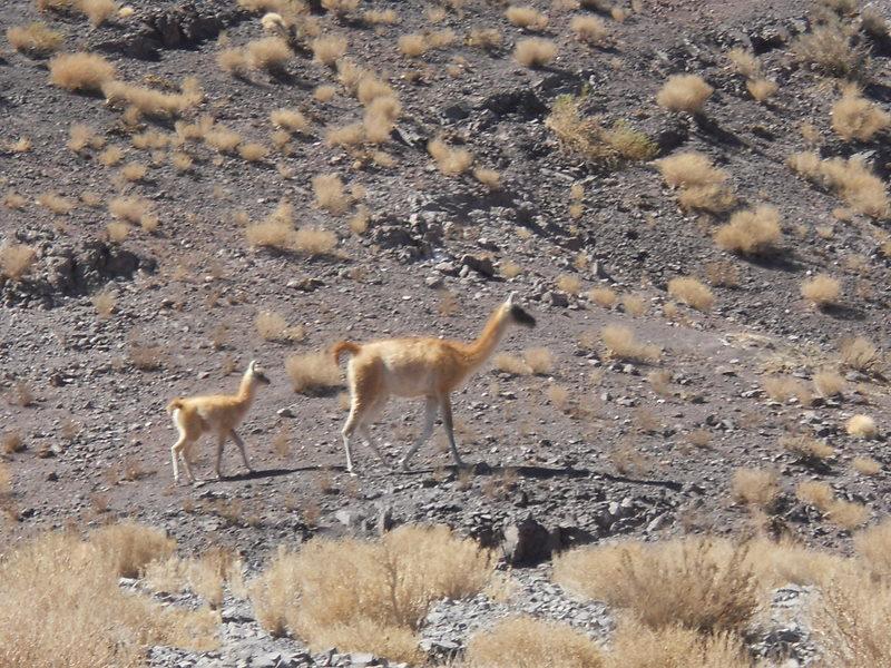 Foto de San Pedro de Atacama, Chile