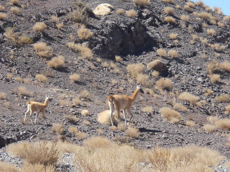 Foto de San Pedro de Atacama, Chile
