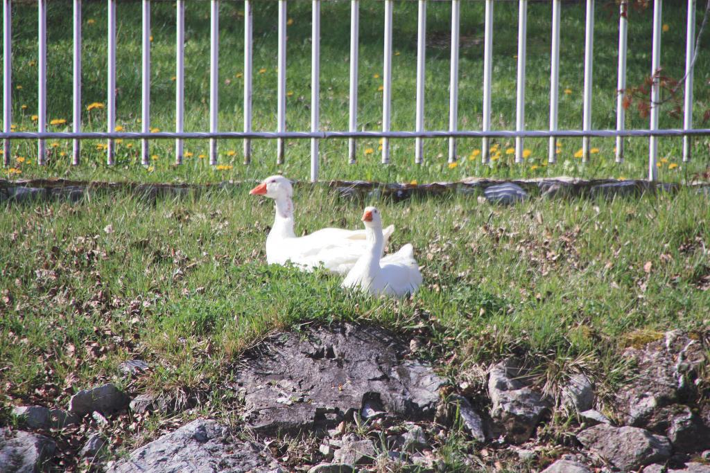Foto de Aguilar de Campoo (Palencia), España
