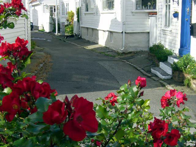 Foto de Stavanger, Noruega