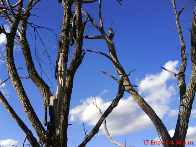 Foto de Zacapu (Michoacan), México