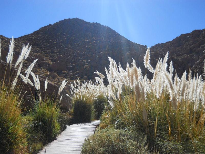 Foto de San Pedro de Atacama, Chile