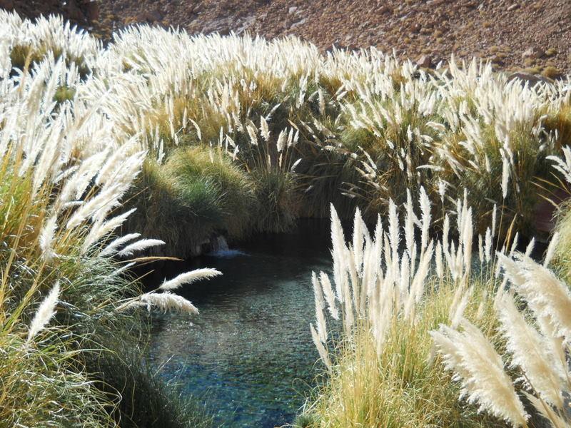 Foto de San Pedro de Atacama, Chile