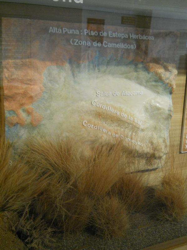 Foto de San Pedro de Atacama, Chile