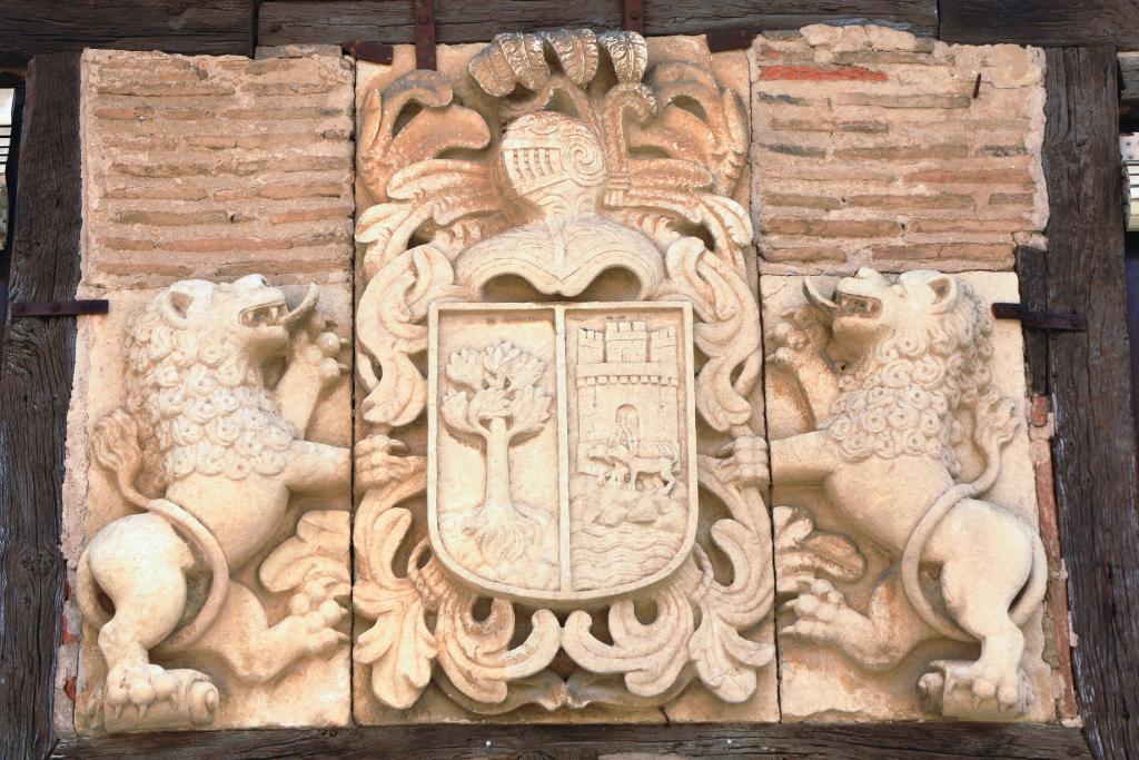 Foto de Saldaña (Palencia), España