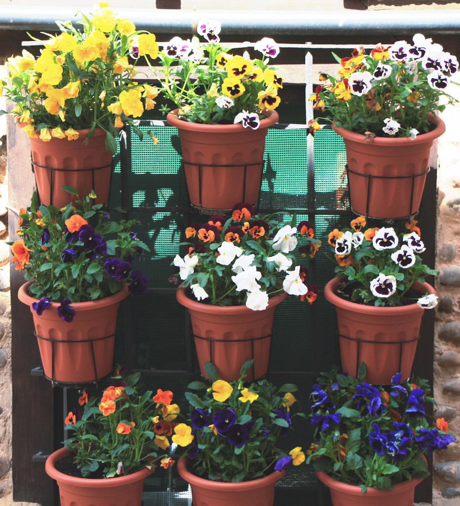 Foto de Saldaña (Palencia), España