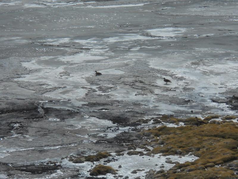 Foto de San Pedro de Atacama, Chile