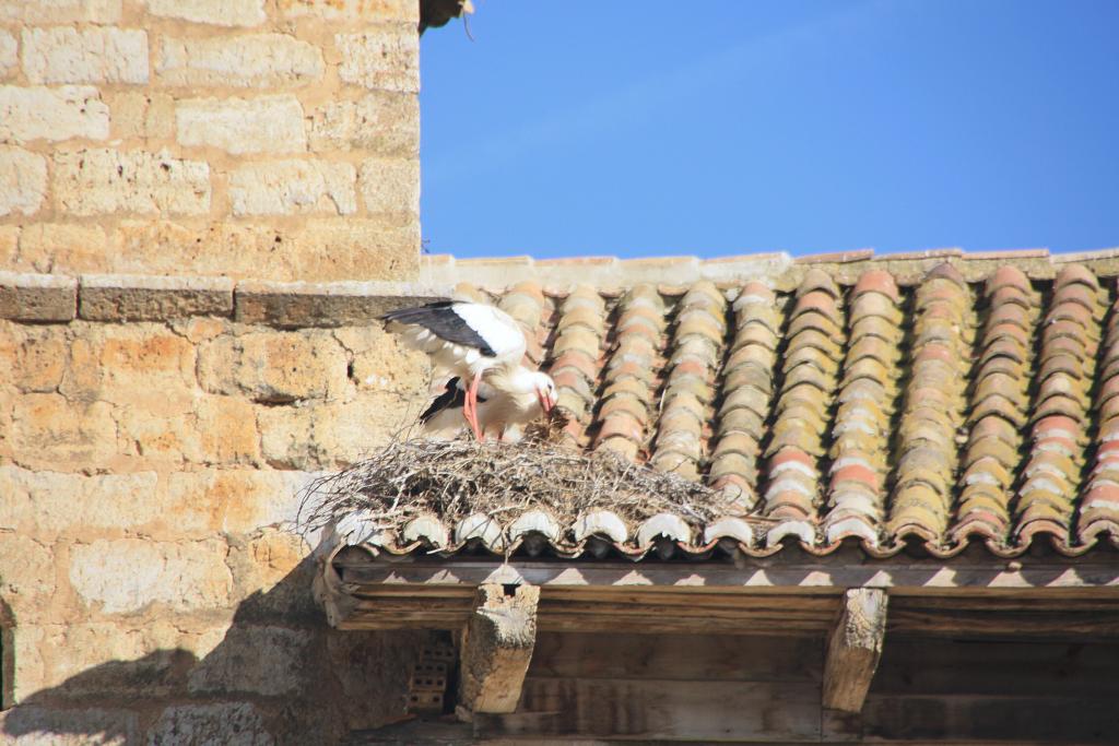 Foto de Frómista (Palencia), España