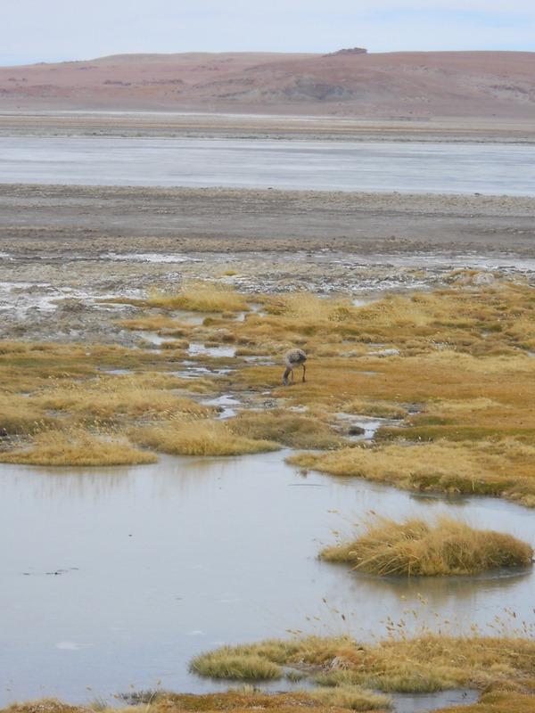 Foto de San Pedro de Atacama, Chile