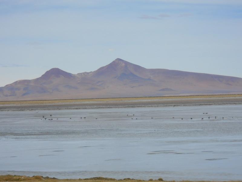 Foto de San Pedro de Atacama, Chile