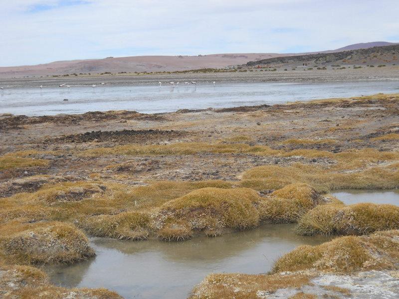 Foto de San Pedro de Atacama, Chile