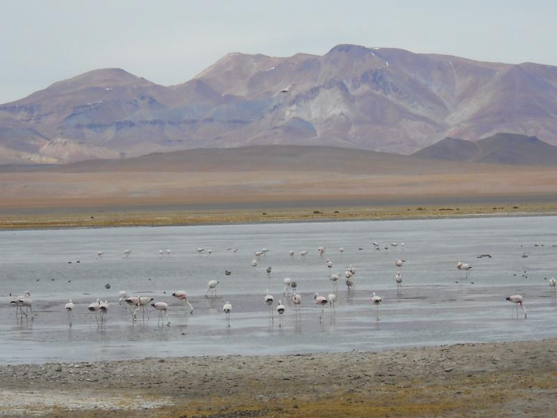 Foto de San Pedro de Atacama, Chile