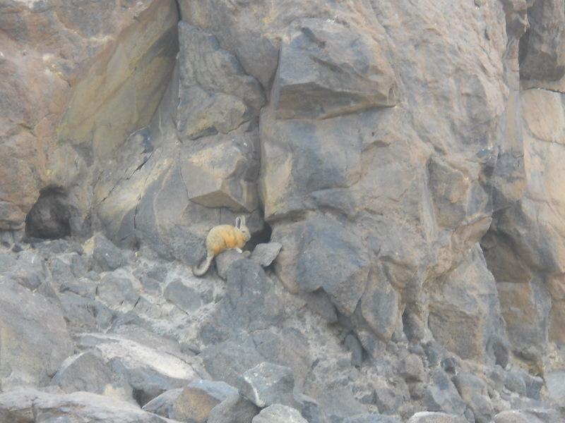 Foto de San Pedro de Atacama, Chile