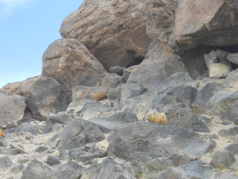 Foto de San Pedro de Atacama, Chile