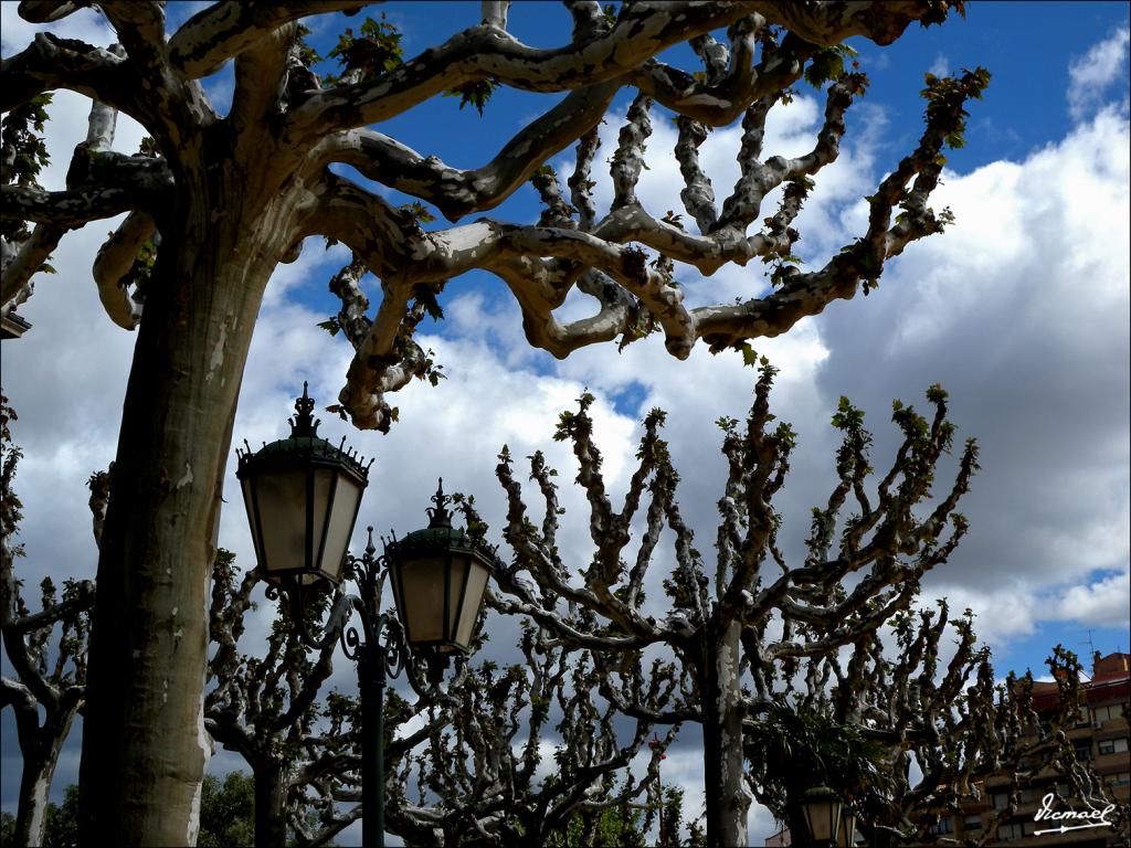 Foto de Calatayud (Zaragoza), España