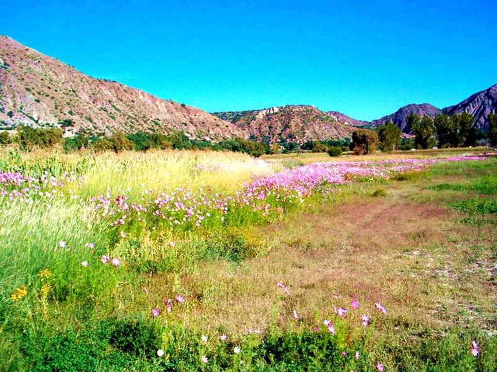 Foto de Chuquiago, Bolivia