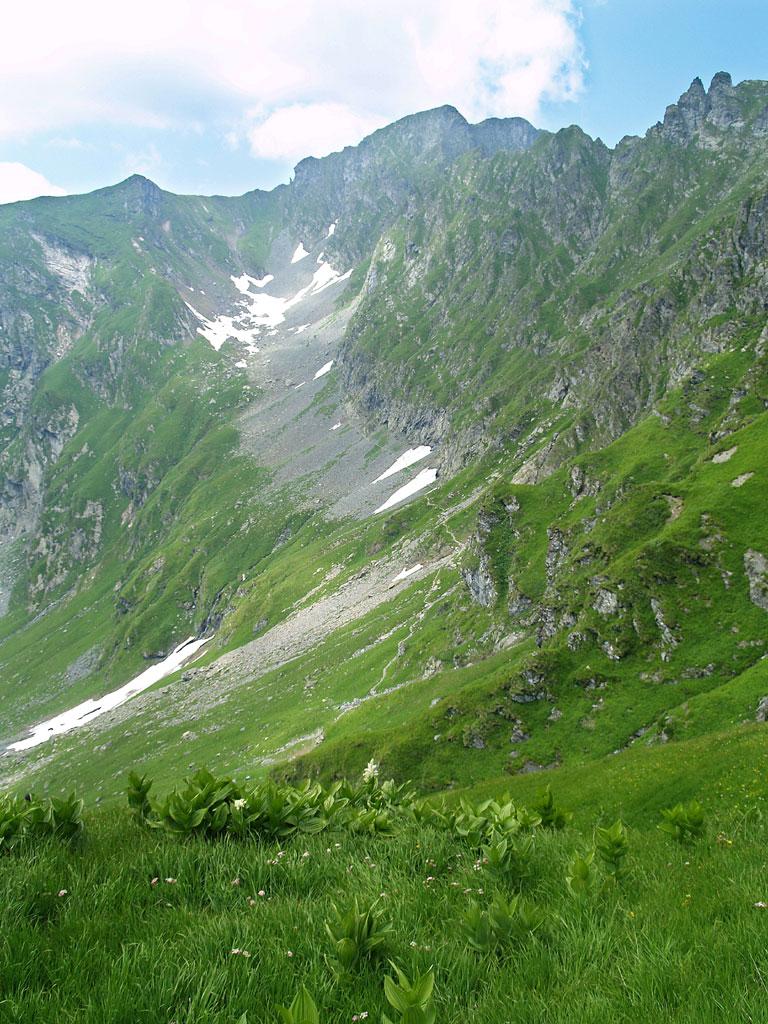 Foto de Curtea de Arges, Rumania