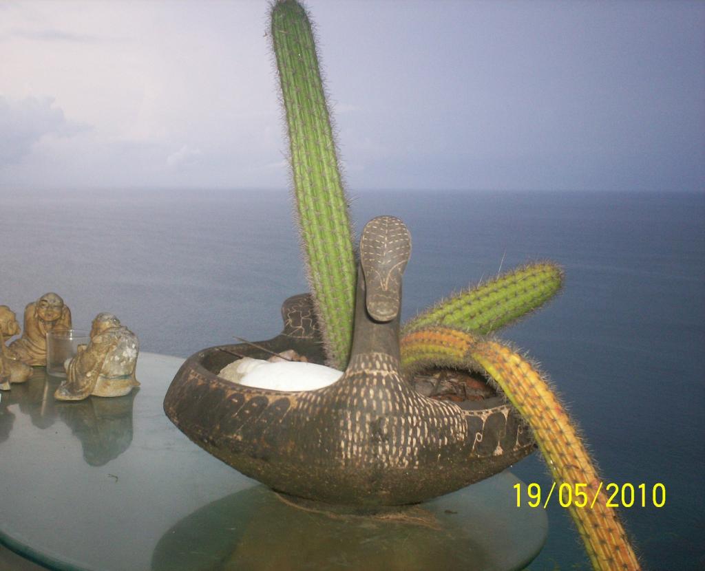 Foto de Motezuma (Puntarenas), Costa Rica