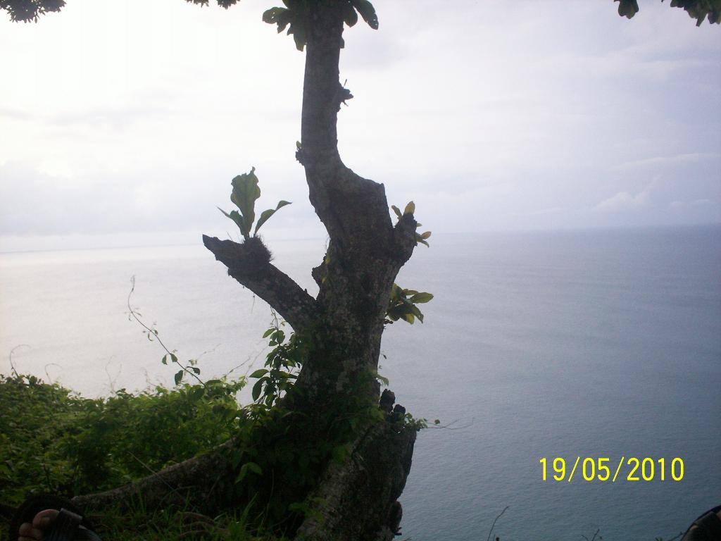 Foto de Motezuma (Puntarenas), Costa Rica