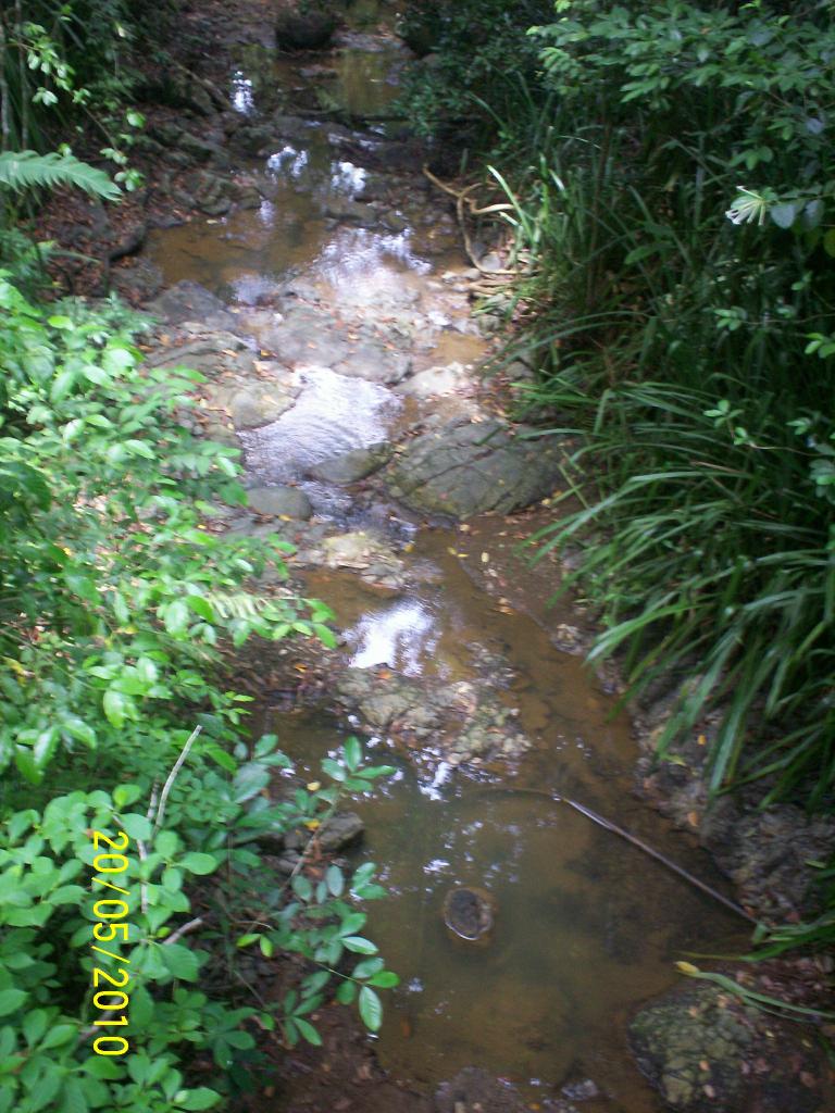 Foto de Motezuma (Puntarenas), Costa Rica