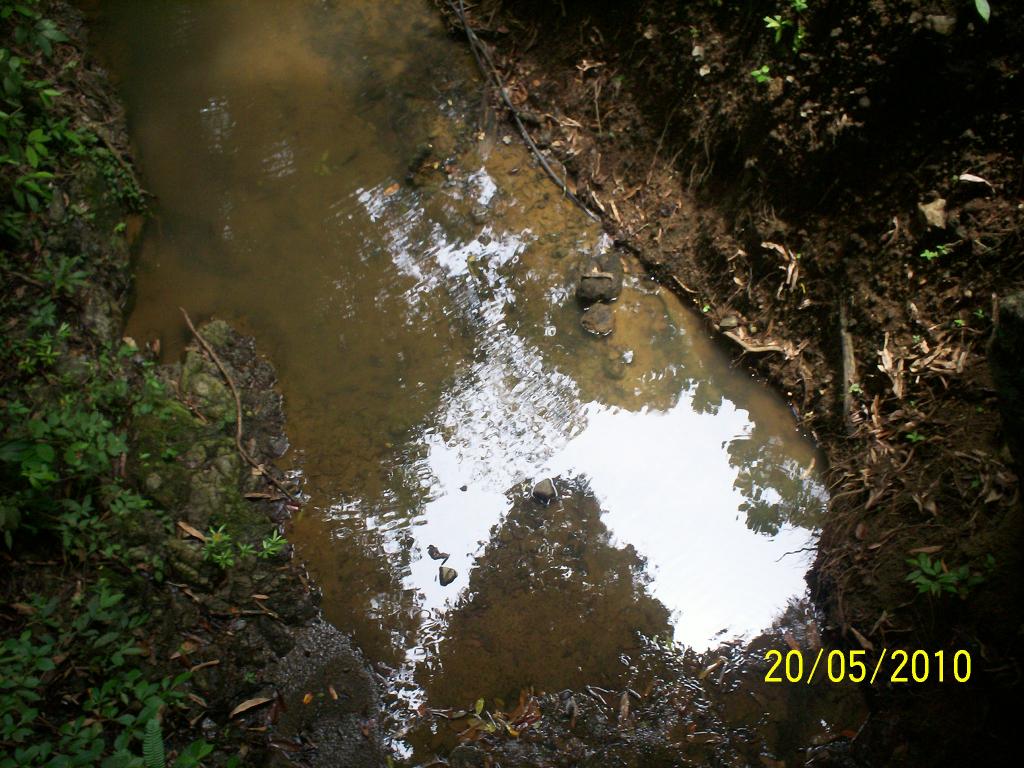 Foto de Motezuma (Puntarenas), Costa Rica