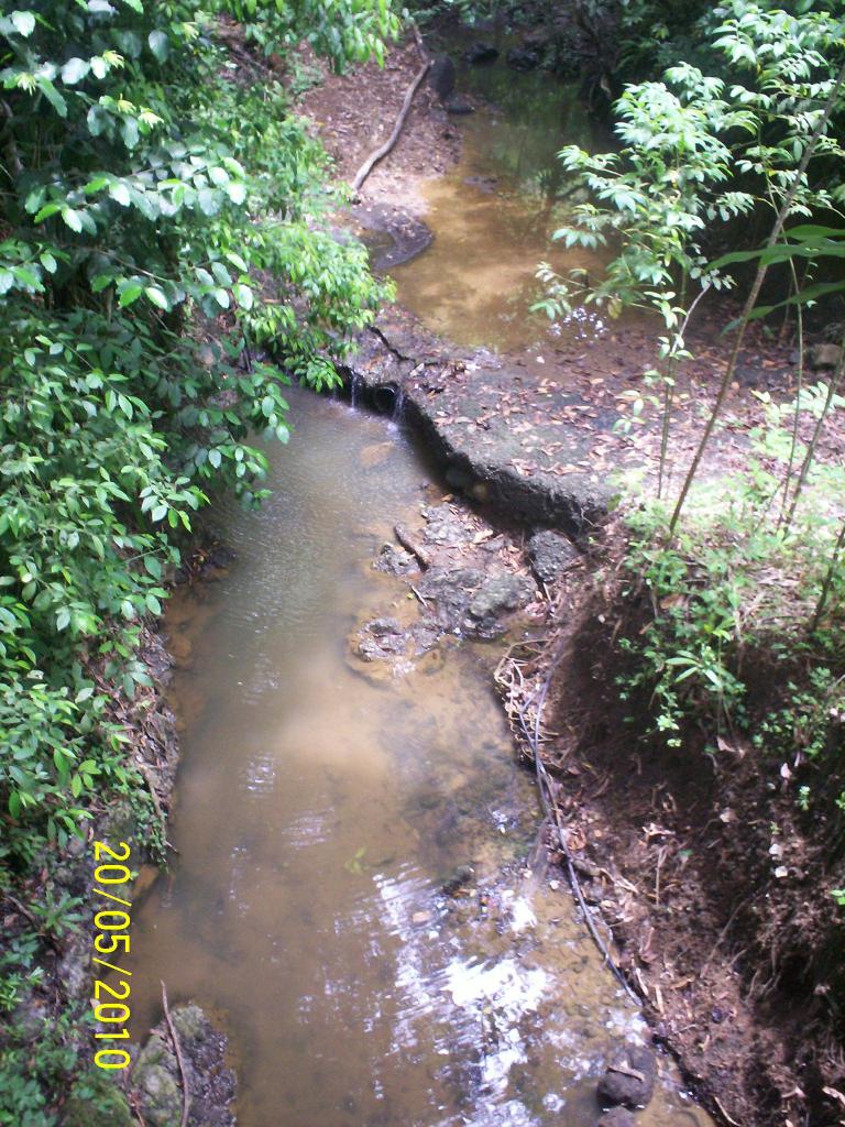 Foto de Motezuma (Puntarenas), Costa Rica