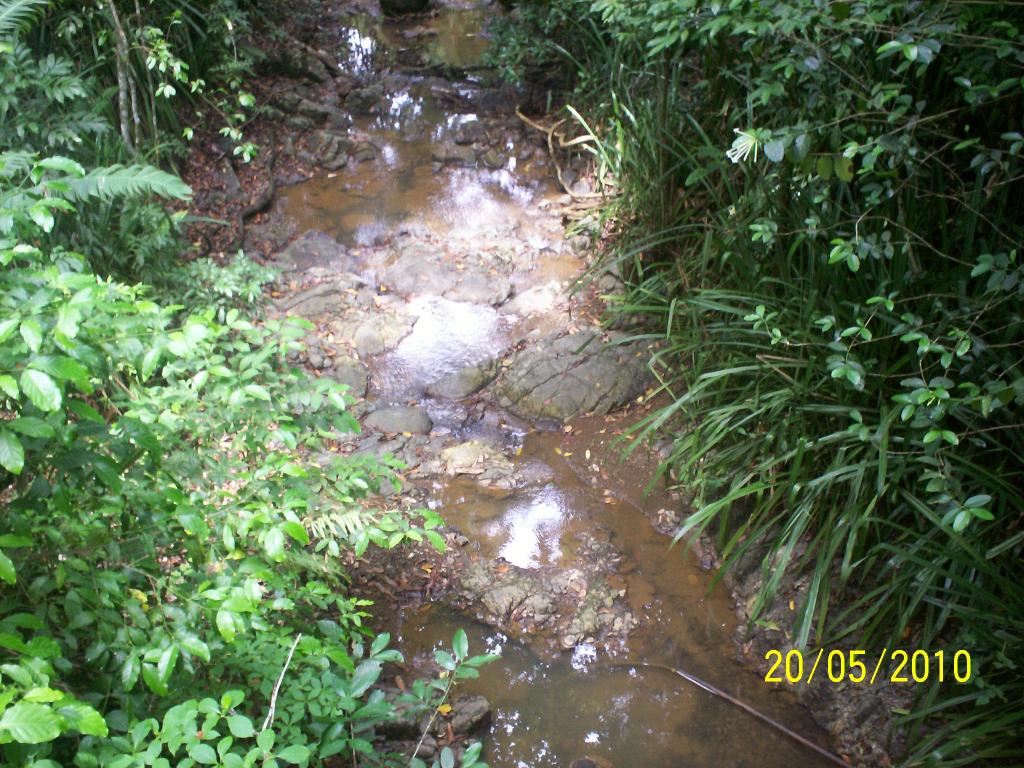 Foto de Motezuma (Puntarenas), Costa Rica