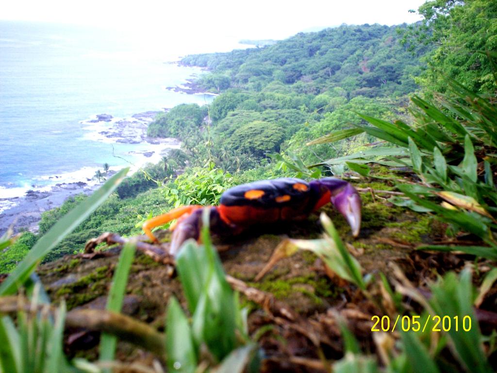 Foto de Motezuma (Puntarenas), Costa Rica