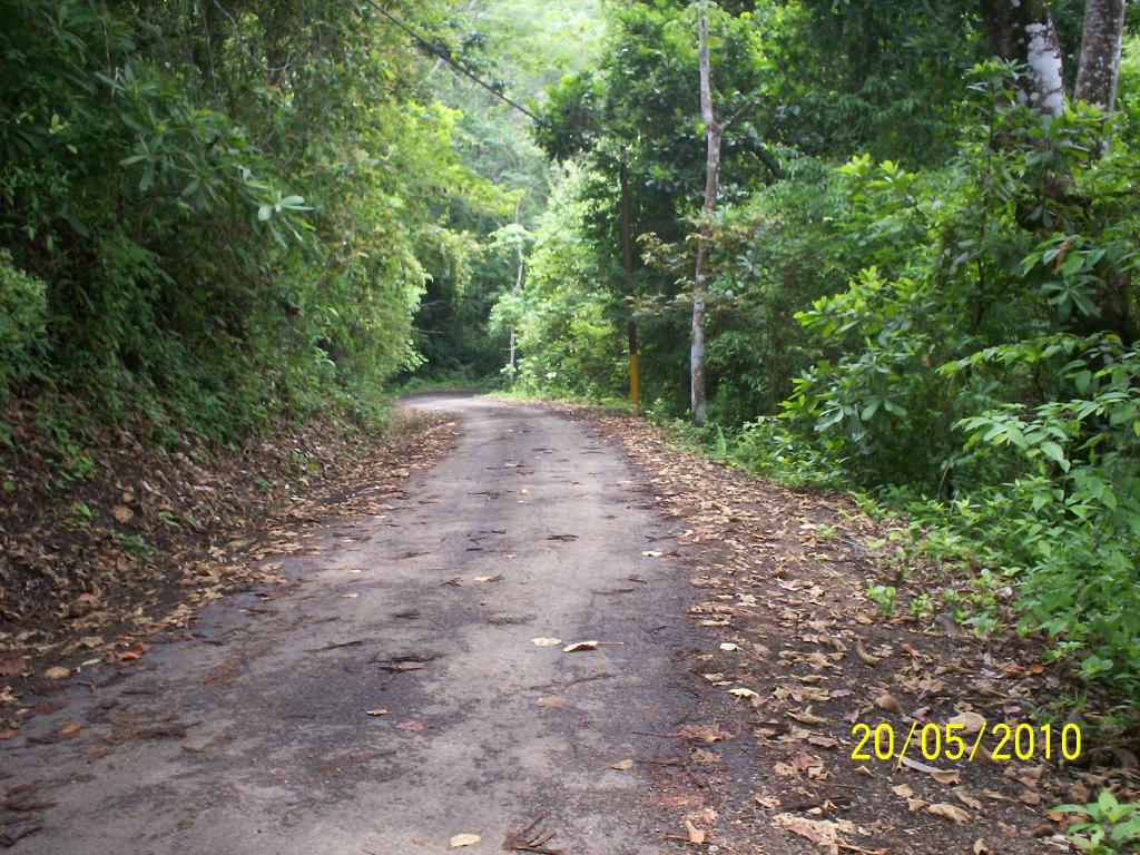 Foto de Motezuma (Puntarenas), Costa Rica