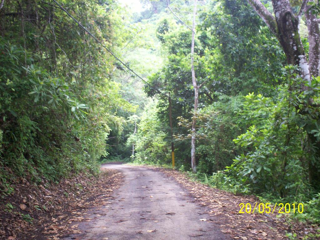 Foto de Motezuma (Puntarenas), Costa Rica