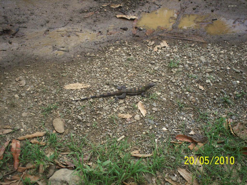 Foto de Motezuma (Puntarenas), Costa Rica