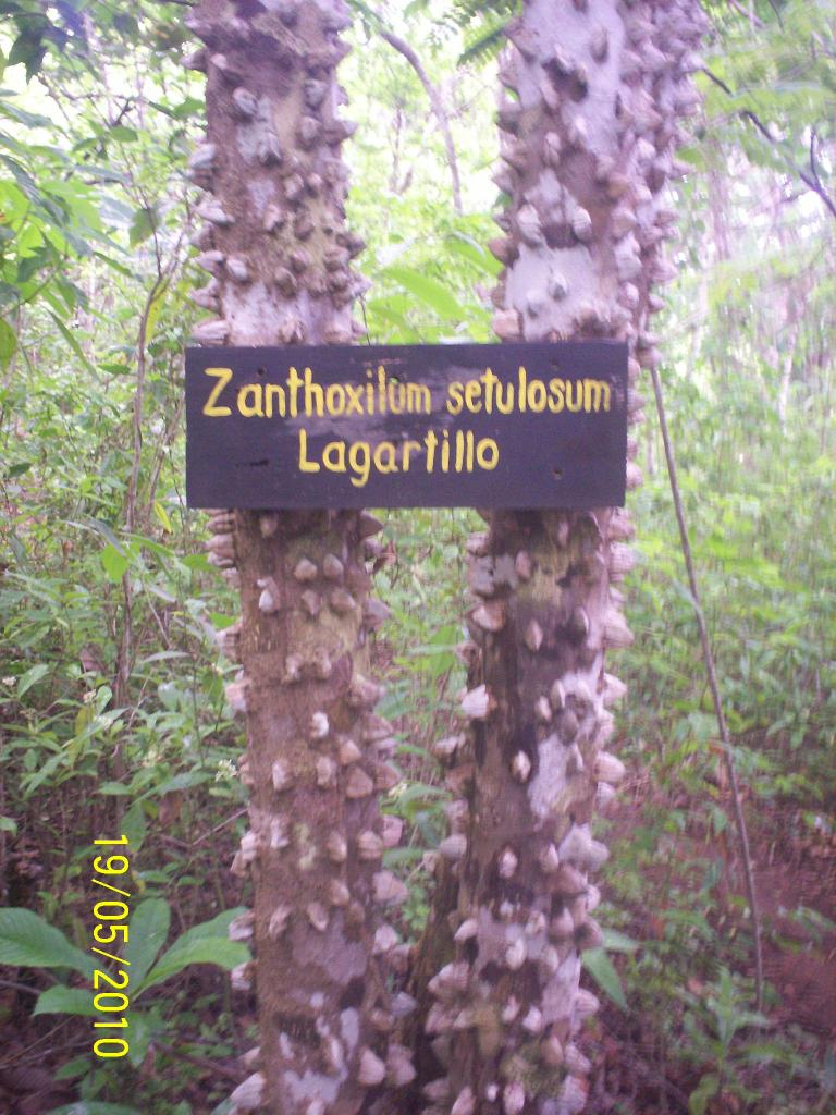 Foto de Motezuma (Puntarenas), Costa Rica