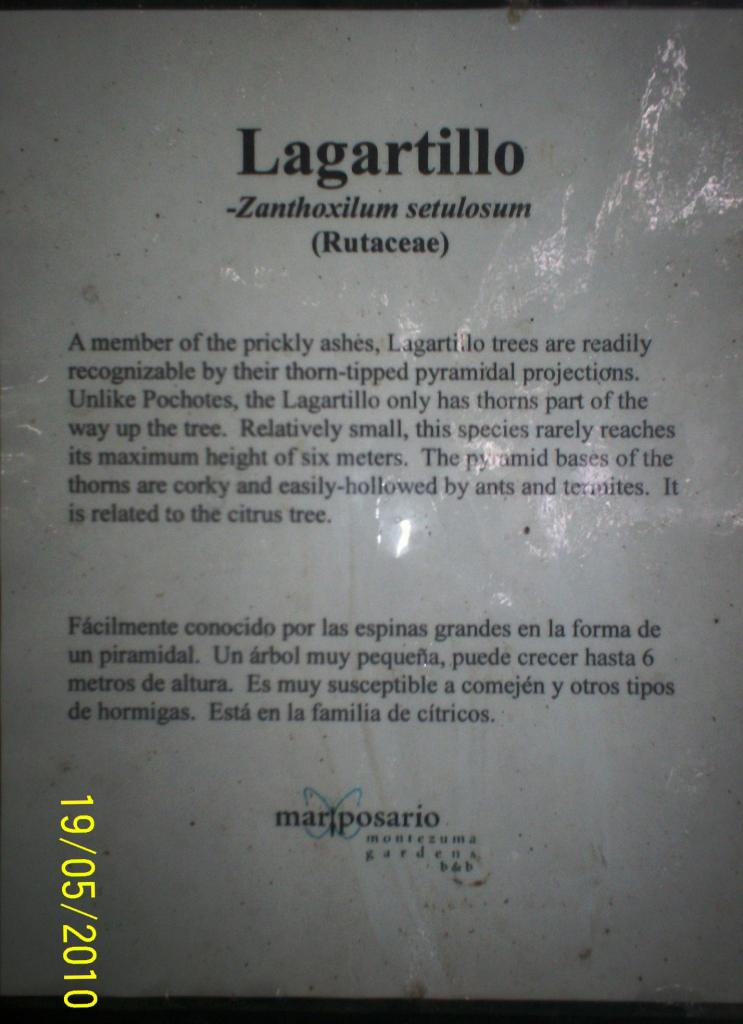 Foto de Motezuma (Puntarenas), Costa Rica