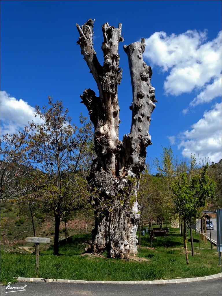 Foto de Camarena de la Sierra (Teruel), España
